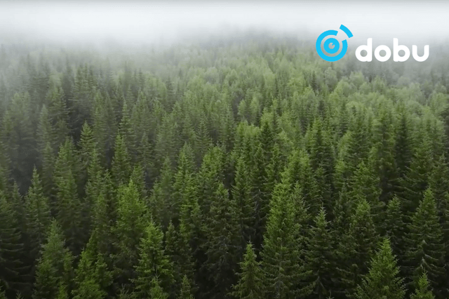 Монгол Улсын ойгоор бүрхэгдсэн талбай 13.6 сая га буюу 8.71 хувь гэж шинэчлэн баталжээ