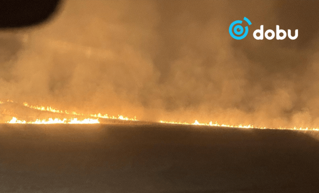 Хог шатааснаас гал алдаж, 7500 га талбайг түймэрт автуулжээ