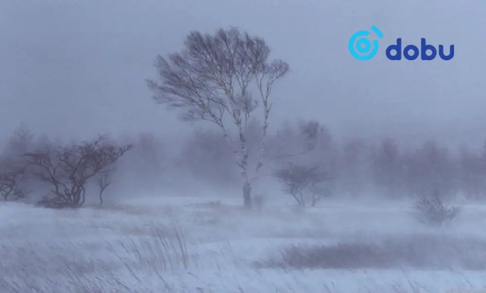 Цас орж, явган шуурга шуурна