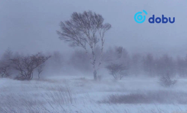 Цас орж, явган шуурга шуурна