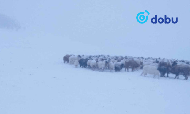 ЦАГ АГААР: Зүүн аймгуудын нутгаар цасан шуургатай
