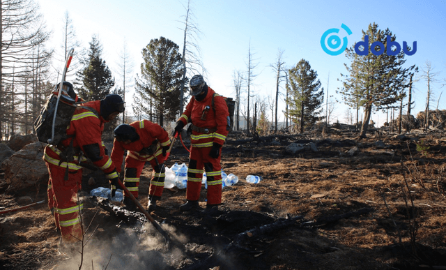 Урьдчилсан байдлаар 56 га талбай түймэрт өртжээ