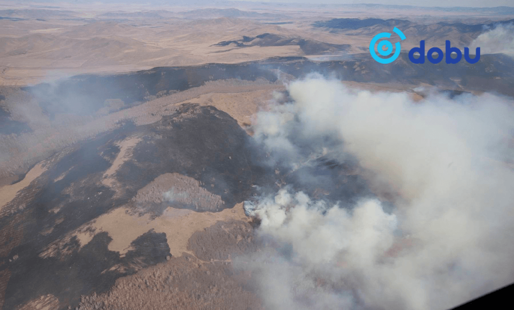 Сэлэнгэ аймагт гарсан түймрийг унтраахаар ажиллаж байна