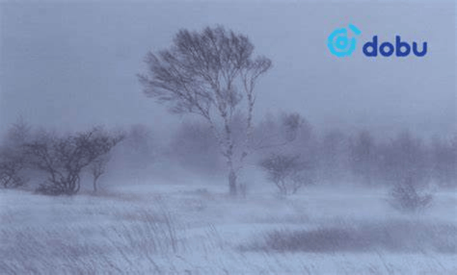 Цас, цас орж, цасан шуурга шуурна