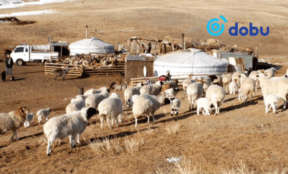 ЦАГ АГААР: Зүүн аймгуудын нутгаар нойтон цас орж, цасан шуурга шуурна