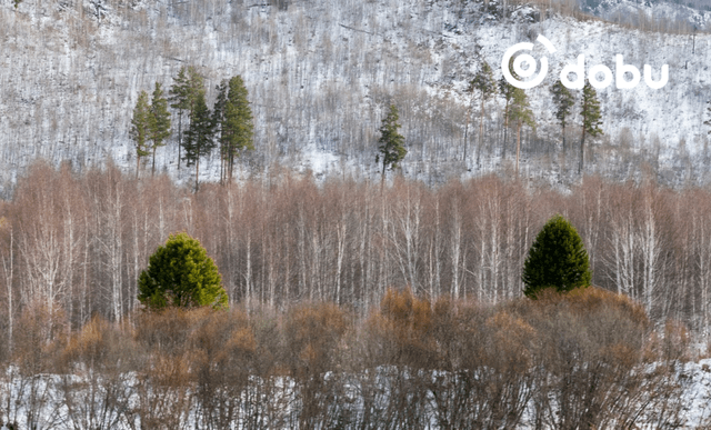 Баруун аймгуудын нутгаар бороо, нойтон цас орно