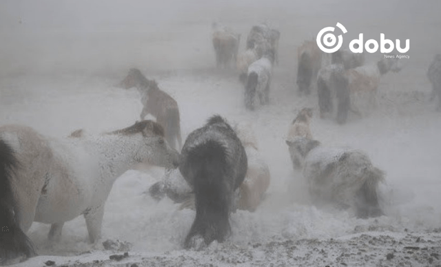 Ихэнх нутгаар 10-20 градусаар хүйтэрч, цасаар шуурна