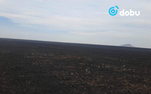 Нийт нутгаар хуурайшилтын түвшин нэмэгджээ