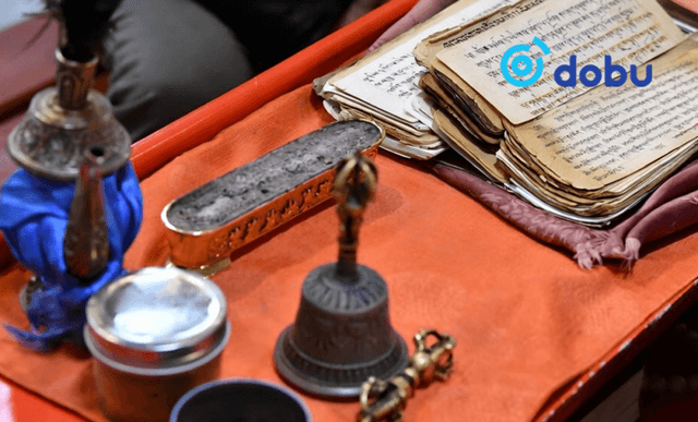 Цахимаар засал хийлгүүлэхээр 72 сая төгрөг шилжүүлээд залилуулжээ