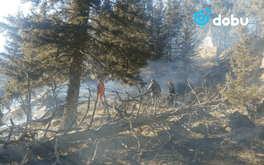 Богдхан ууланд гарсан түймрийн эрсдэл бүрэн арилаагүй байна