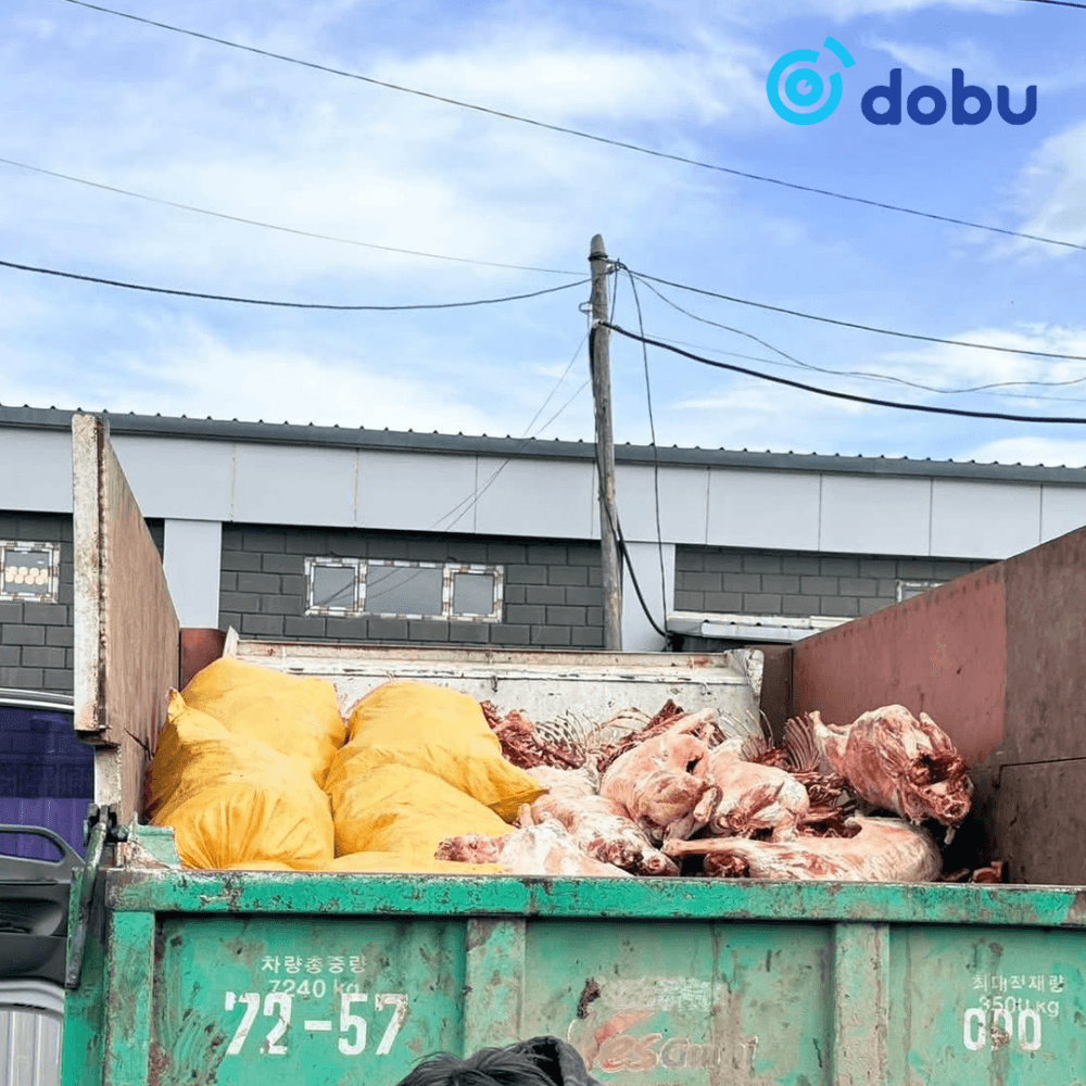 Хогны машинд ачиж явсан махыг устгалд оруулжээ