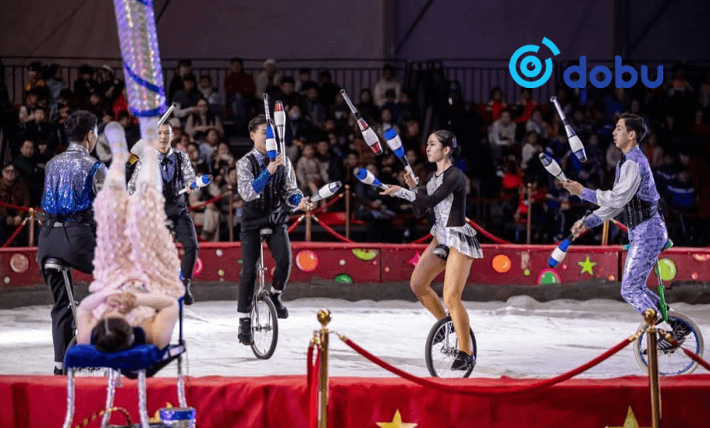 Циркийн продакшнууд 7 хоногийн турш иргэдэд үнэгүй тоглолтоо толилуулна