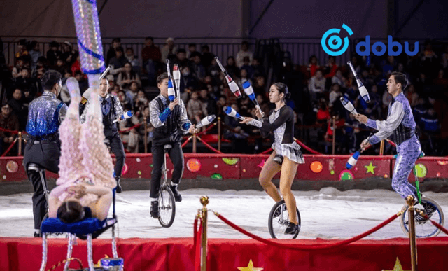 Циркийн продакшнууд 7 хоногийн турш иргэдэд үнэгүй тоглолтоо толилуулна