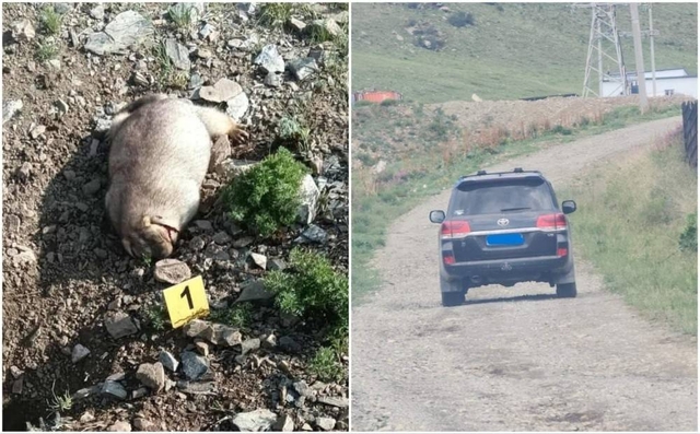 Жаргалантын аманд тарвага буудсан иргэнийг эрэн сурвалжилж байна