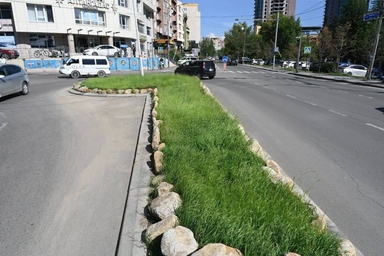 Баянгол дүүргийн 34 хорооны 456 байршилд зүлэг тарьж, 11 байршилд цэцгийн мандал байгуулжээ