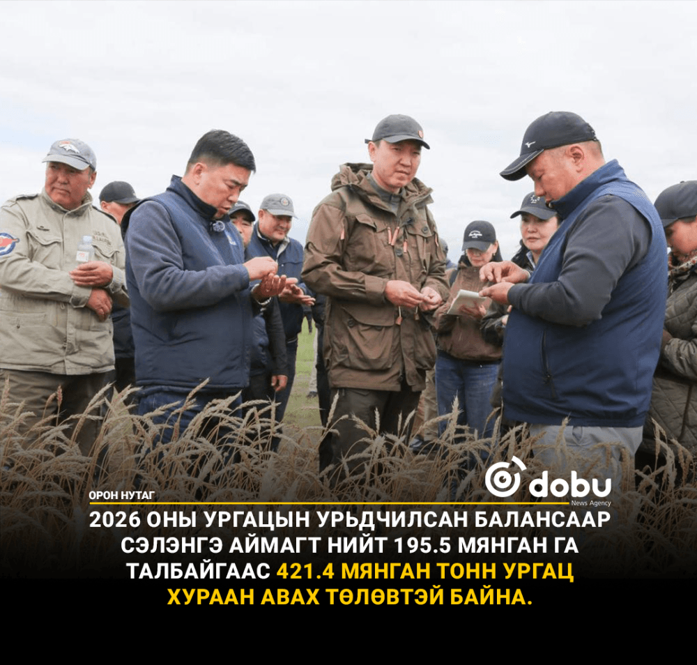 Сэлэнгэ аймаг 421.4 мянган тонн ургац хураан авна