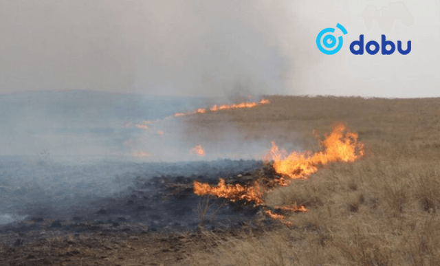 7000 га орчим талбай түймэрт өртжээ