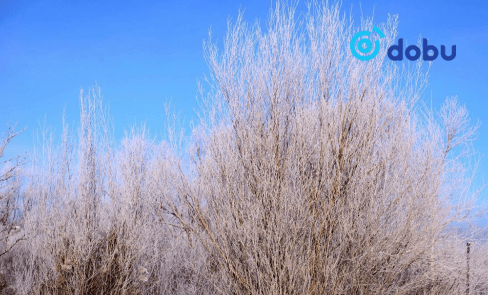 Сураггүй болсон иргэнийг голын бургаснаас олжээ