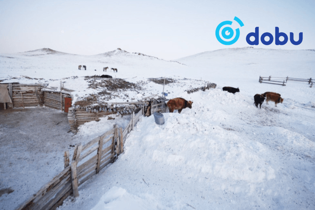 11 аймгийн 56 сум цагаан зудын нөхцөл байдалтай байна