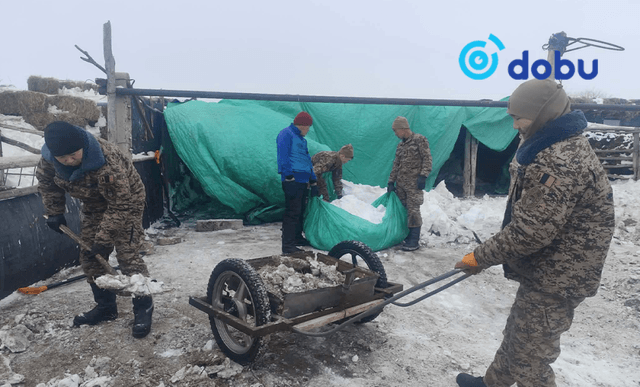 Цэргийнхэн цасан шуурганы дараах сэргээн босголтыг гүйцэтгэж байна