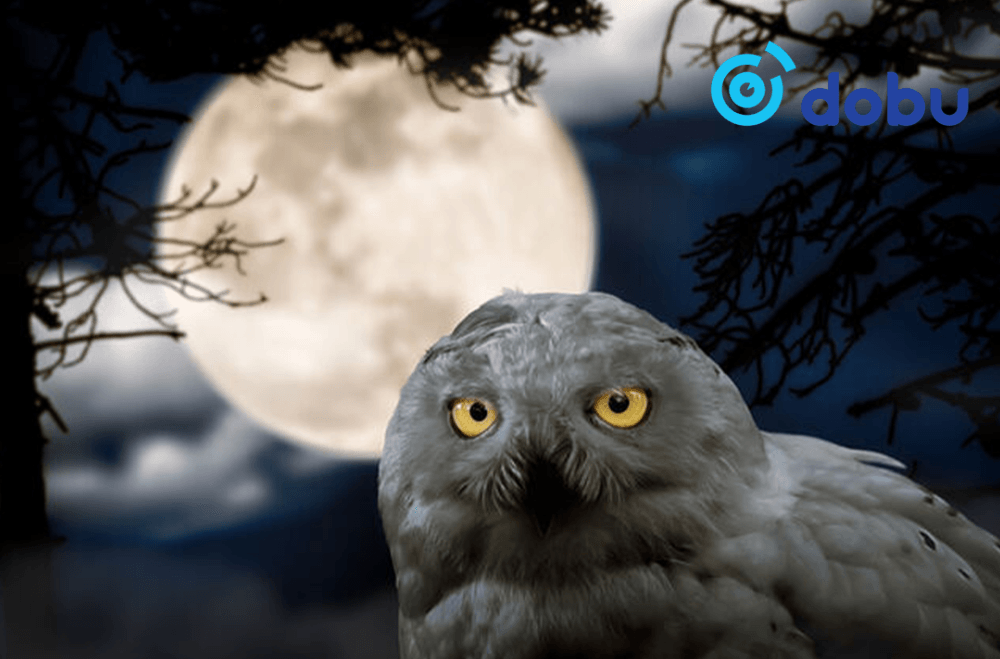 Урт наслахын тулд та "ШАР ШУВУУ" амьдралын хэв маягаас салах хэрэгтэй