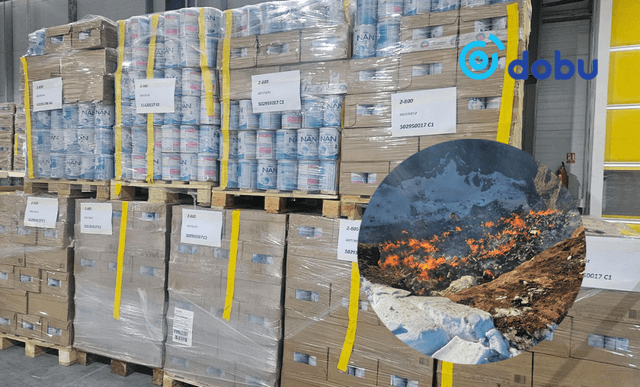 808 сая гаруй төгрөгийн үнэ бүхий "NAN" сүүн тэжээлийг устгалаа