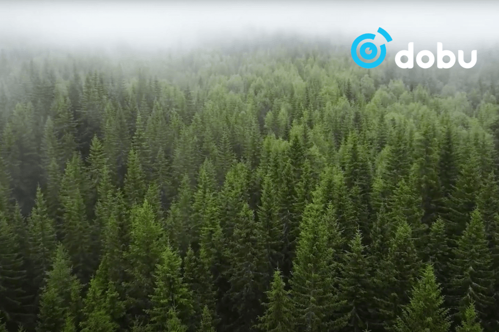 Монгол Улсын ойгоор бүрхэгдсэн талбай 13.6 сая га буюу 8.71 хувь гэж шинэчлэн баталжээ