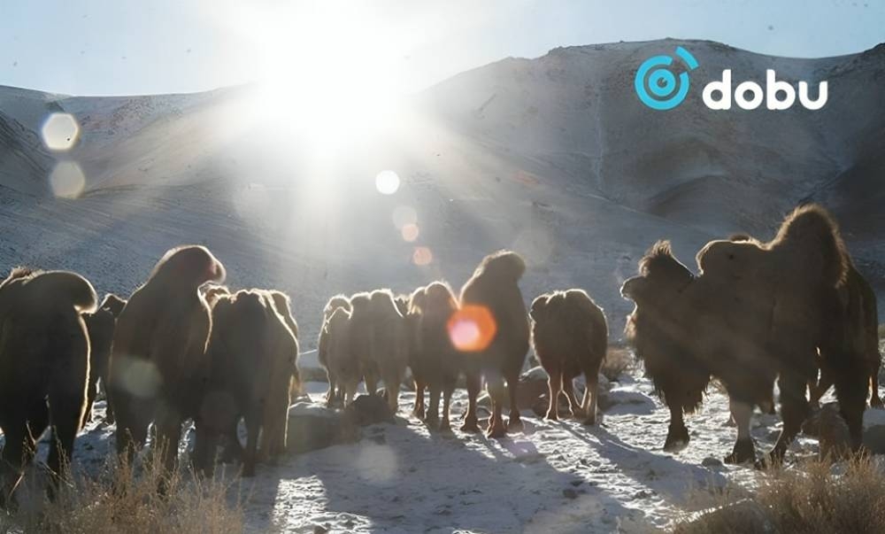 Ихэнх нутгаар цаг агаар тогтуун байна