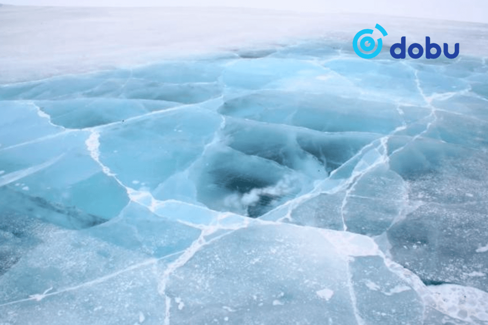 Автомашинтай зорчиж явсан дөрвөн иргэн Буйр нуурт живж, нас баржээ