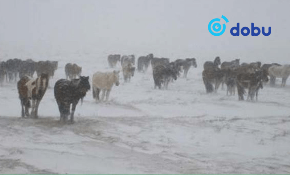 Ихэнх нутгаар хүйтний эрч чангарна