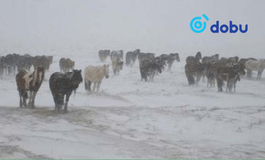 Ихэнх нутгаар хүйтний эрч чангарна