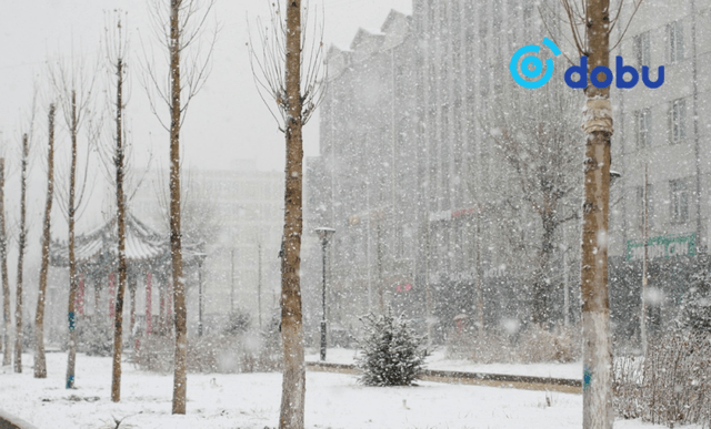 Хүйтний эрч чангарч, цасан шуурга шуурна