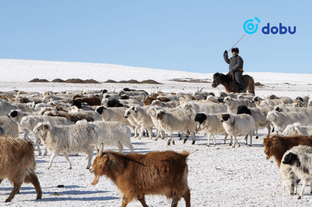 Баян-Өлгий, Увс, Ховд, Төв, Сэлэнгэ, Дархан-Уул аймаг, Өвөрхангай, Баянхонгор, Дундговийн зарим нутгаар өвөлжилт их хүндрэх төлөвтэй байна