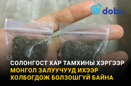 Солонгост хар тамхины хэргээр монгол залуучууд ихээр холбогдож болзошгүй байна
