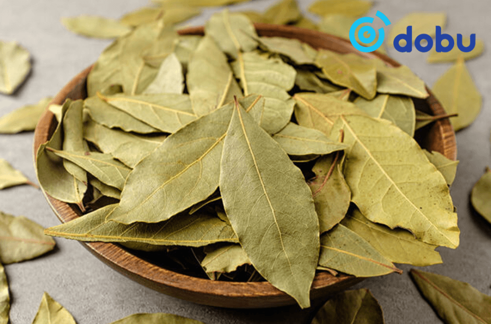 Зөвлөгөө: Хатаасан лаврын навч ашиглан унтах арга нь хамгийн сайн