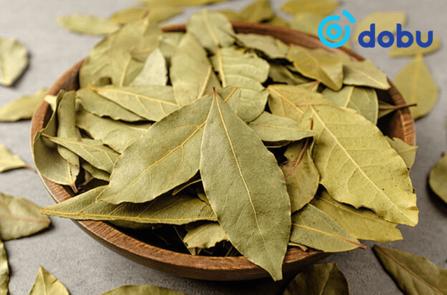 Зөвлөгөө: Хатаасан лаврын навч ашиглан унтах арга нь хамгийн сайн