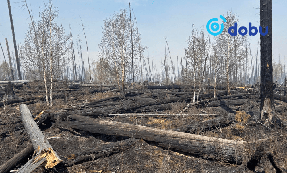 Энэ сард бүртгэгдсэн 59 ой, хээрийн гал түймрээс 37 түймрийг бүрэн унтраажээ