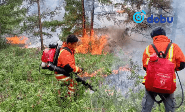 Улсын хэмжээнд өнөөдөр байдлаар 14 ойн түймрийг унтраахаар ажиллаж байна