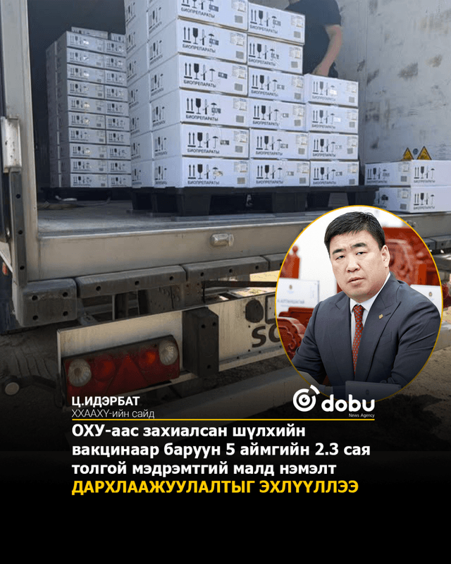 ОХУ-аас захиалсан шүлхийн вакцинаар баруун 5 аймгийн 2.3 сая толгой мэдрэмтгий малд нэмэлт дархлаажуулалтыг эхлүүллээ