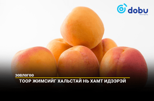 ЗӨВЛӨГӨӨ: Тоор жимсийг хальстай нь хамт идээрэй