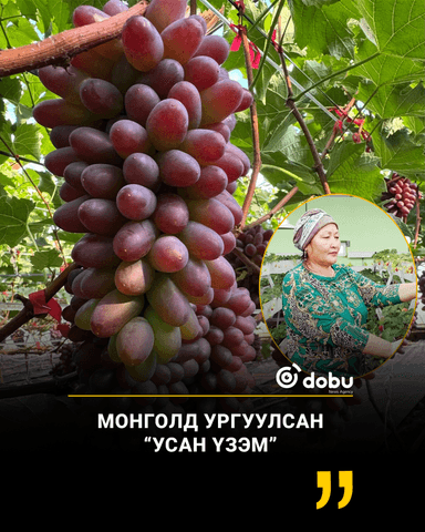 Монголд ургуулсан  “УСАН ҮЗЭМ”