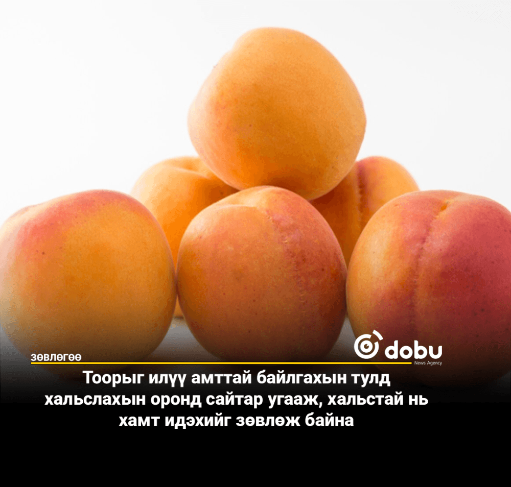 ЗӨВЛӨГӨӨ: Тоор жимсийг хальстай нь хамт идээрэй