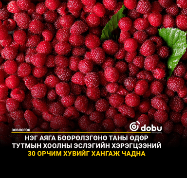ЗӨВЛӨГӨӨ: Бөөрөлзгөнө цусан дахь сахарын хэмжээг хянаж, хоолны эслэгийг хүртэл нөхөж чаддаг