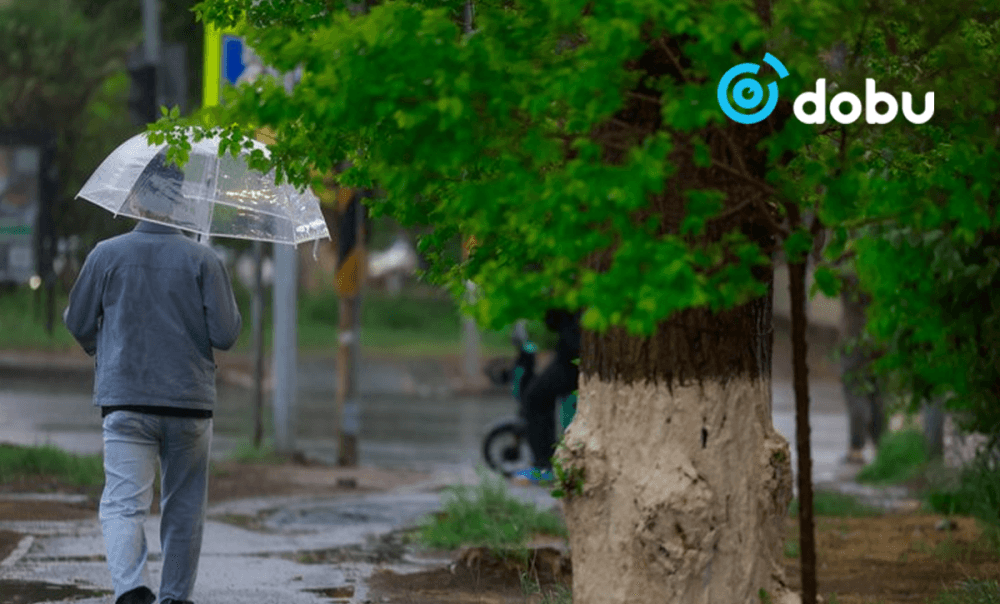 Улаанбаатарт өдөртөө дуу цахилгаантай бороо орно