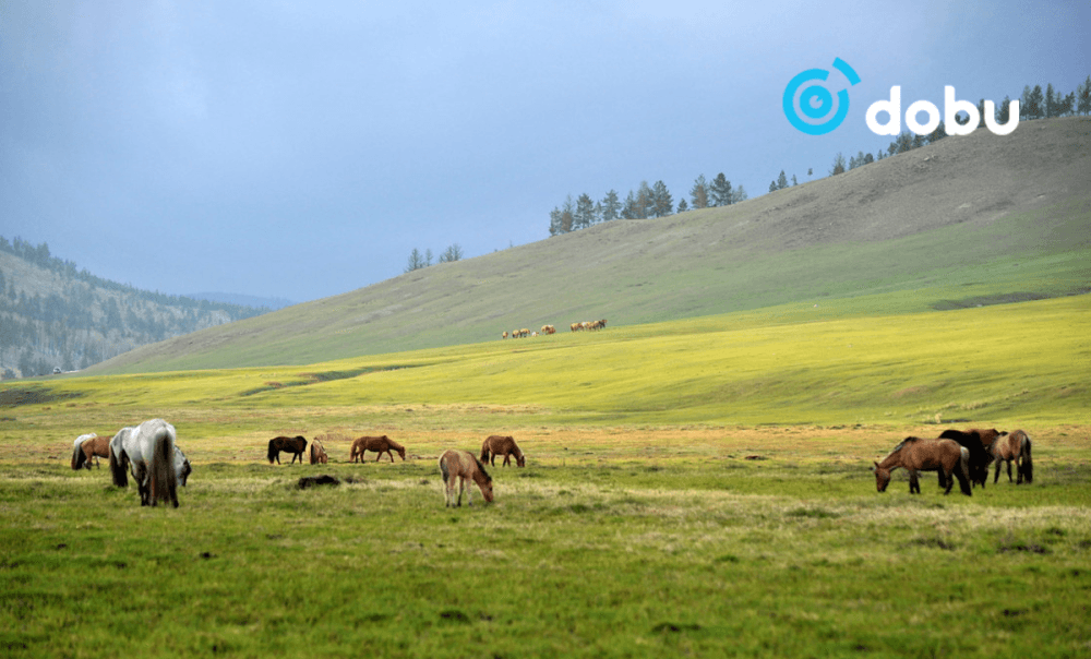 Энэ сарын 15-наас ихэнх нутгаар дулаарна