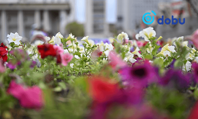 Улаанбаатарт 21 градус дулаан байна