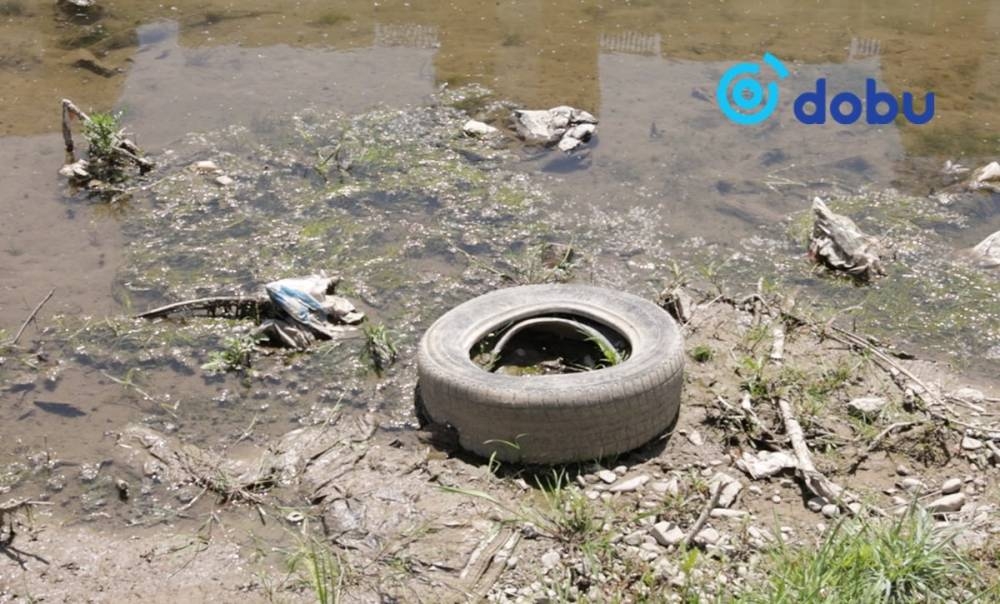 СУРВАЛЖИЛГА: Сэлбэ голын урсац зогсож, хогонд дарагджээ