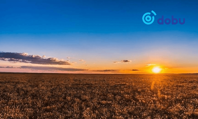 30 градусыг давж хална