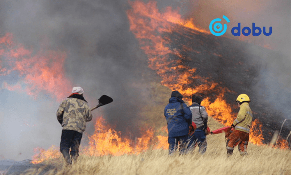 “Маш их” эрсдэлтэй бүсэд ой, хээрийн түймрийн 30 хувь бүртгэгджээ