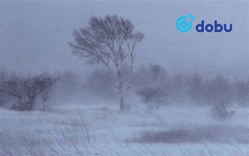 СЭРЭМЖЛҮҮЛЭГ: Өнөө шөнө Баян-Өлгий, Завхан, Хөвсгөлийн нутгаар цас орж, шуурна